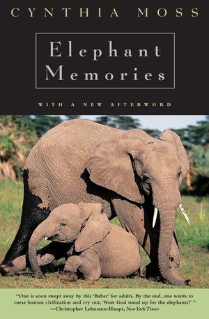 Buy Elephant Memories at Amazon