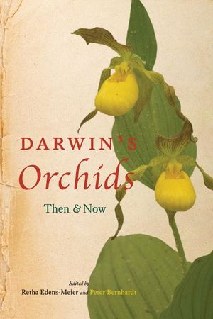 Buy Darwin's Orchids at Amazon