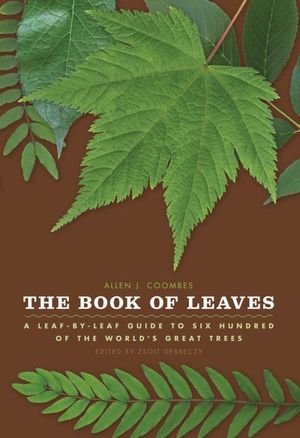 Buy The Book of Leaves at Amazon