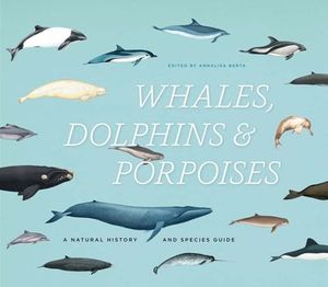 Buy Whales, Dolphins & Porpoises at Amazon