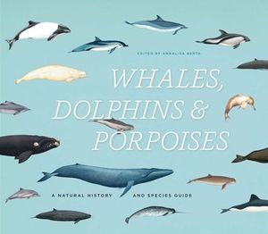 Whales, Dolphins & Porpoises