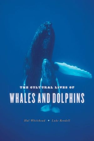 Buy The Cultural Lives of Whales and Dolphins at Amazon