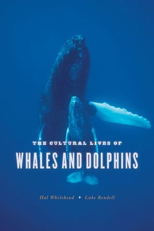 The Cultural Lives of Whales and Dolphins