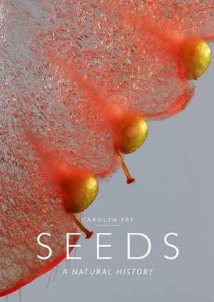 Seeds