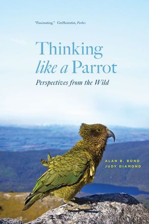 Thinking like a Parrot