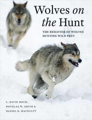 Buy Wolves on the Hunt at Amazon