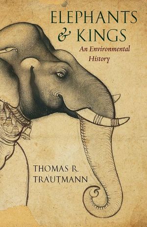 Buy Elephants & Kings at Amazon