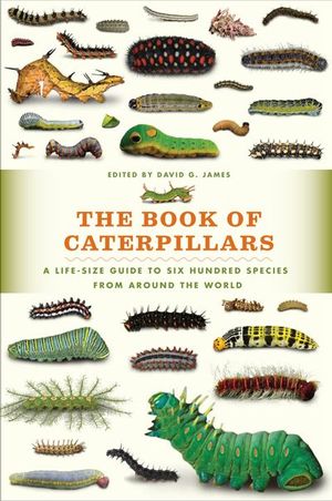 Buy The Book of Caterpillars at Amazon