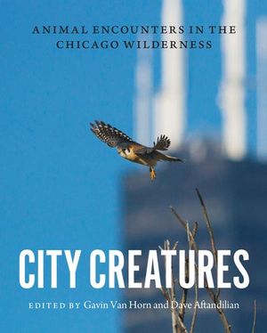 Buy City Creatures at Amazon