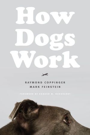 Buy How Dogs Work at Amazon