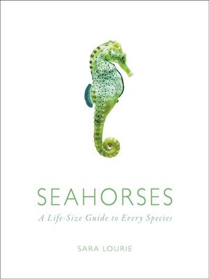 Buy Seahorses at Amazon