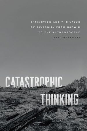 Buy Catastrophic Thinking at Amazon