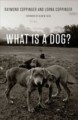 Buy What Is a Dog? at Amazon