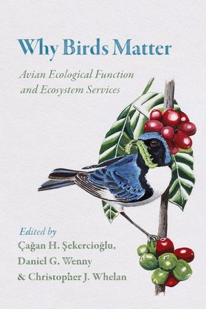 Buy Why Birds Matter at Amazon