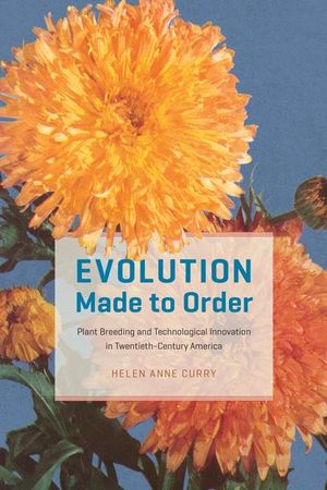 Buy Evolution Made to Order at Amazon