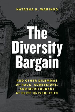 Buy The Diversity Bargain at Amazon