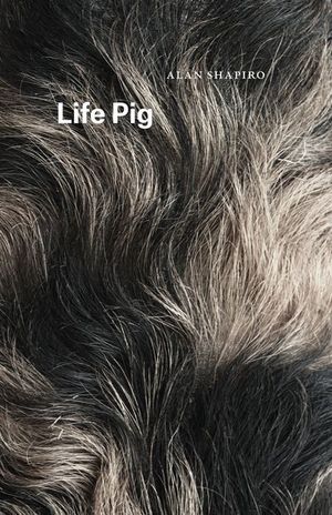 Life Pig