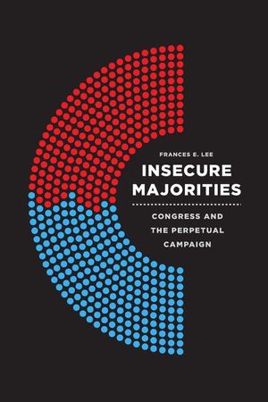 Buy Insecure Majorities at Amazon