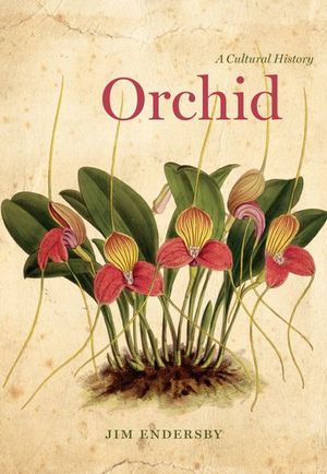 Buy Orchid at Amazon