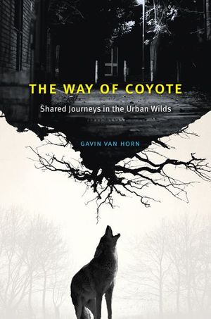 Buy The Way of Coyote at Amazon
