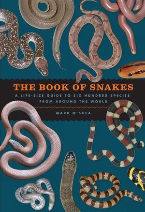 Buy The Book of Snakes at Amazon
