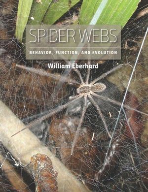 Buy Spider Webs at Amazon