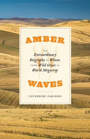 Buy Amber Waves at Amazon