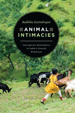 Buy Animal Intimacies at Amazon