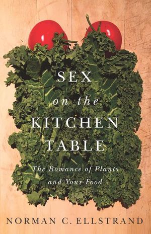 Buy Sex on the Kitchen Table at Amazon