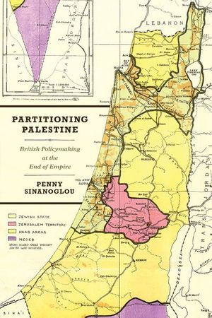 Buy Partitioning Palestine at Amazon