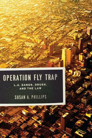 Operation Fly Trap