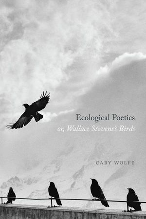 Buy Ecological Poetics; or, Wallace Stevens’s Birds at Amazon