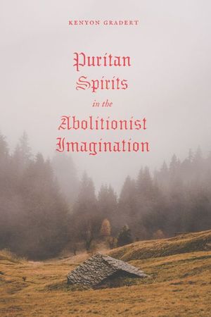 Buy Puritan Spirits in the Abolitionist Imagination at Amazon