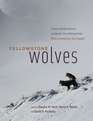 Buy Yellowstone Wolves at Amazon