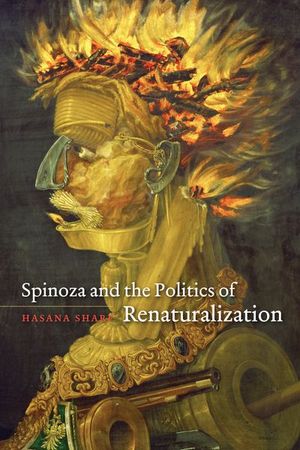 Buy Spinoza and the Politics of Renaturalization at Amazon