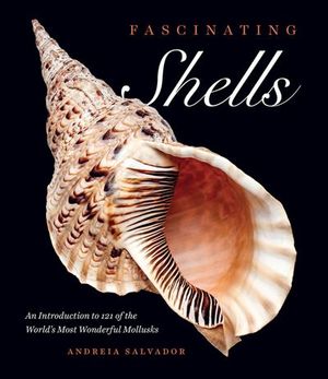 Buy Fascinating Shells at Amazon