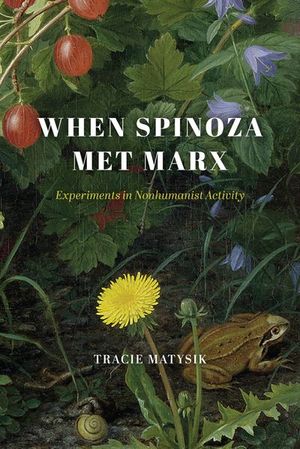 Buy When Spinoza Met Marx at Amazon