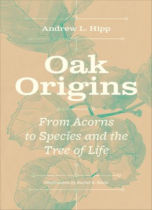 Oak Origins