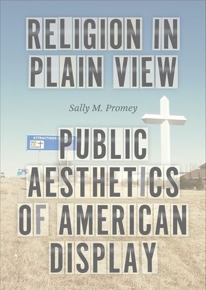 Buy Religion in Plain View at Amazon