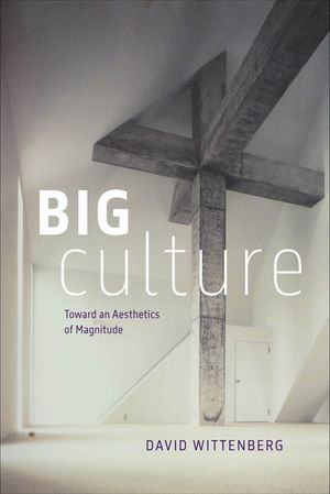 Big Culture