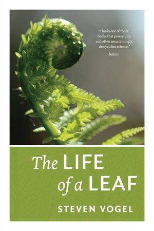 Buy The Life of a Leaf at Amazon