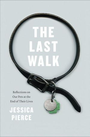 Buy The Last Walk at Amazon