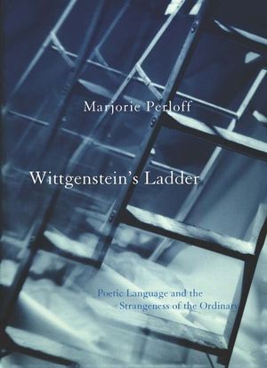 Wittgenstein's Ladder