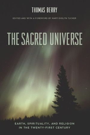 Buy The Sacred Universe at Amazon