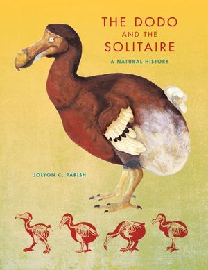 Buy The Dodo and the Solitaire at Amazon