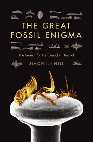 Buy The Great Fossil Enigma at Amazon