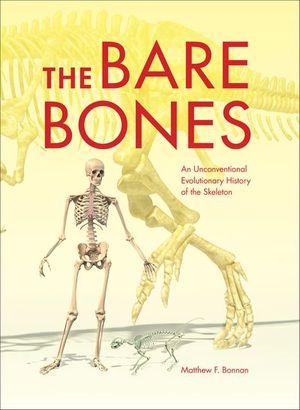 Buy The Bare Bones at Amazon