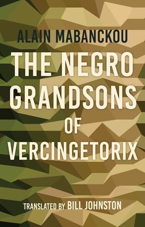 Buy The Negro Grandsons of Vercingetorix at Amazon
