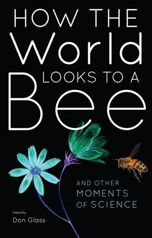 How the World Looks to a Bee