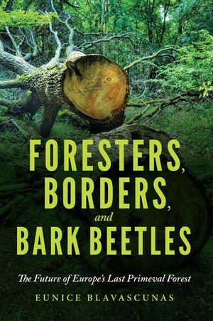 Foresters, Borders, and Bark Beetles